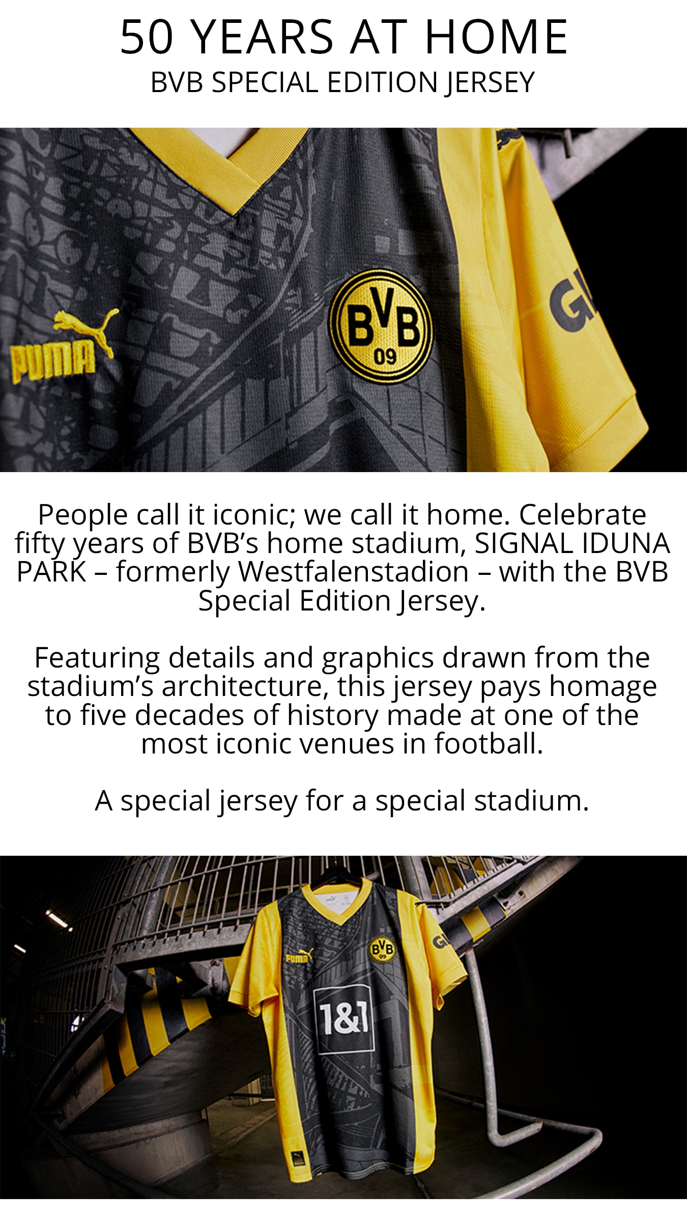 BVB Special Edition
